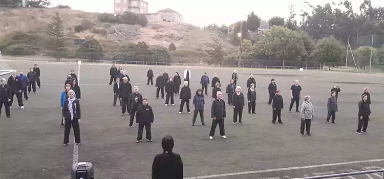 Los diez principios